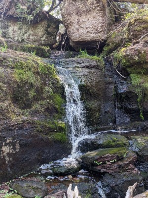 Pretty Feldtmann waterfall