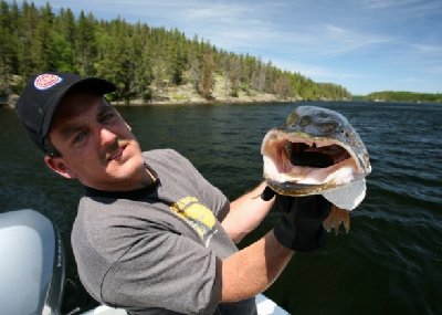 2008-06-29 Isle Royale Day 3 (2l1F) Rob's 43inch Pike Chippewa Harbor 5X7 RAYsmall.jpg