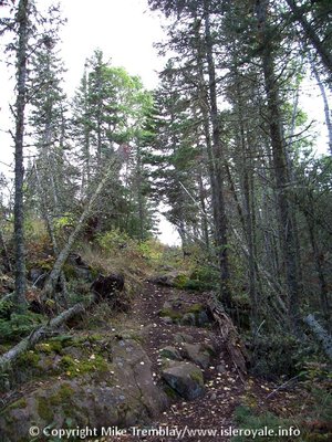 First section north of the Greenstone looking back