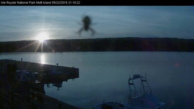 Mott Island Web Cam2016052207.JPG