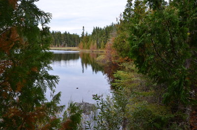 DSC_0638.jpg