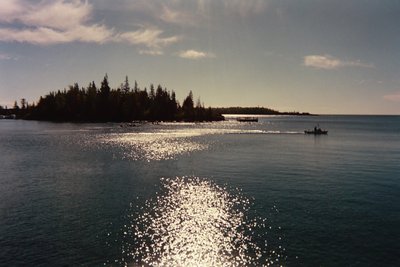 021_20A.JPG