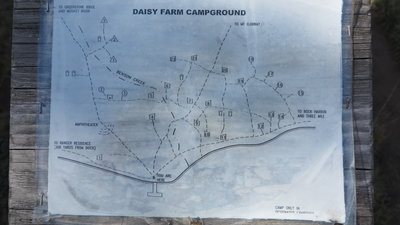 Daisy Farm.JPG