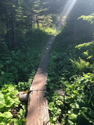 Walking the plank