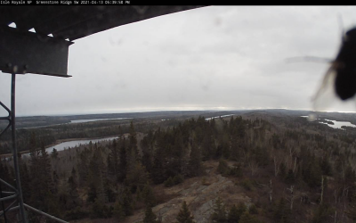 Ojibway Web Cam20210413002.png