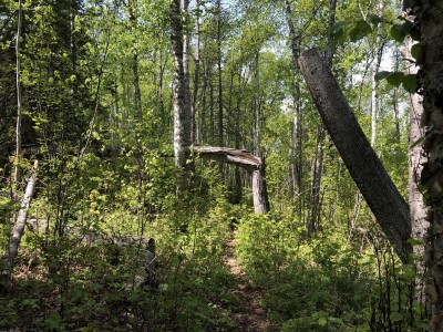 ishpeming trail5.jpg