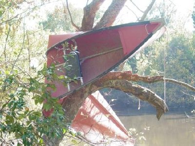 canoe-in-tree-close-up.jpg