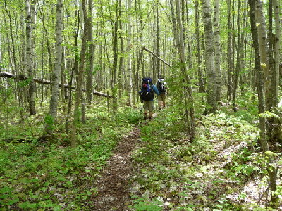 The trail to to Malone Bay