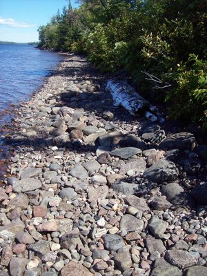 Isle Royale Aug 2010 Siskiwit Lake shoreline-resize.jpg