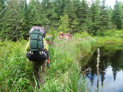 Beaver Dam.JPG