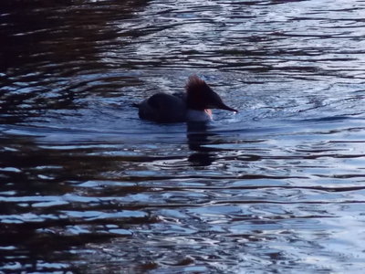 DSCN3396.JPG (499.36 KiB) Viewed 9604 times DSCN3396.JPG